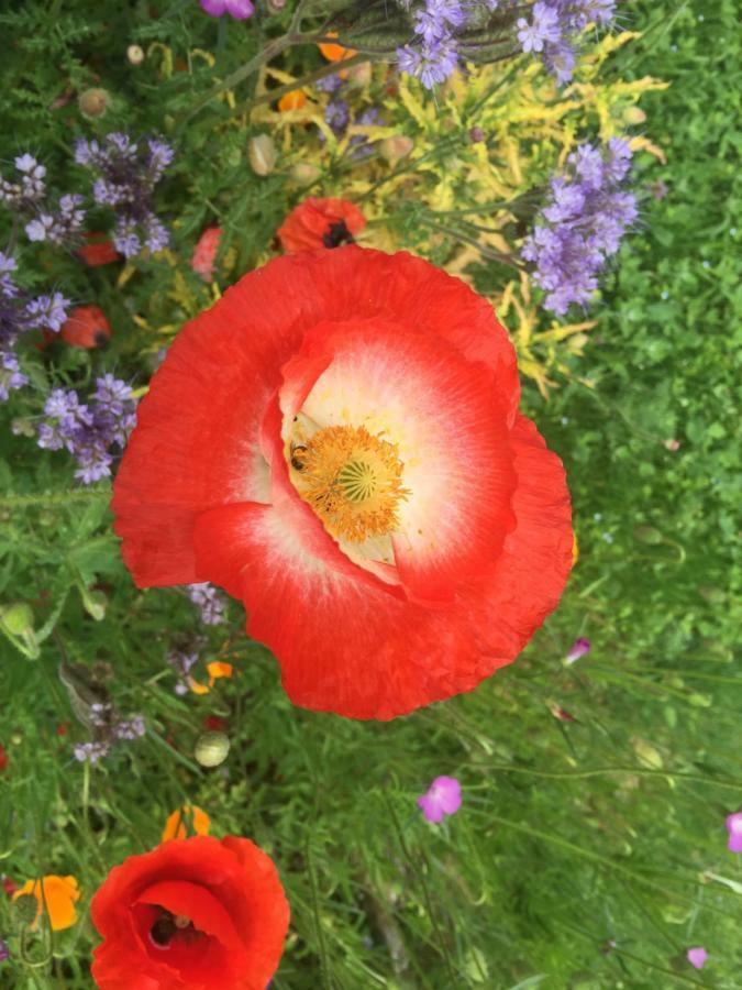 Balines Jolie Halte Normande 아파트 외부 사진
